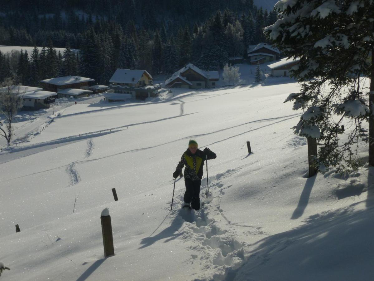 Ferienwohnung "Mein Alpenjuwel" 费尔兹姆斯 外观 照片