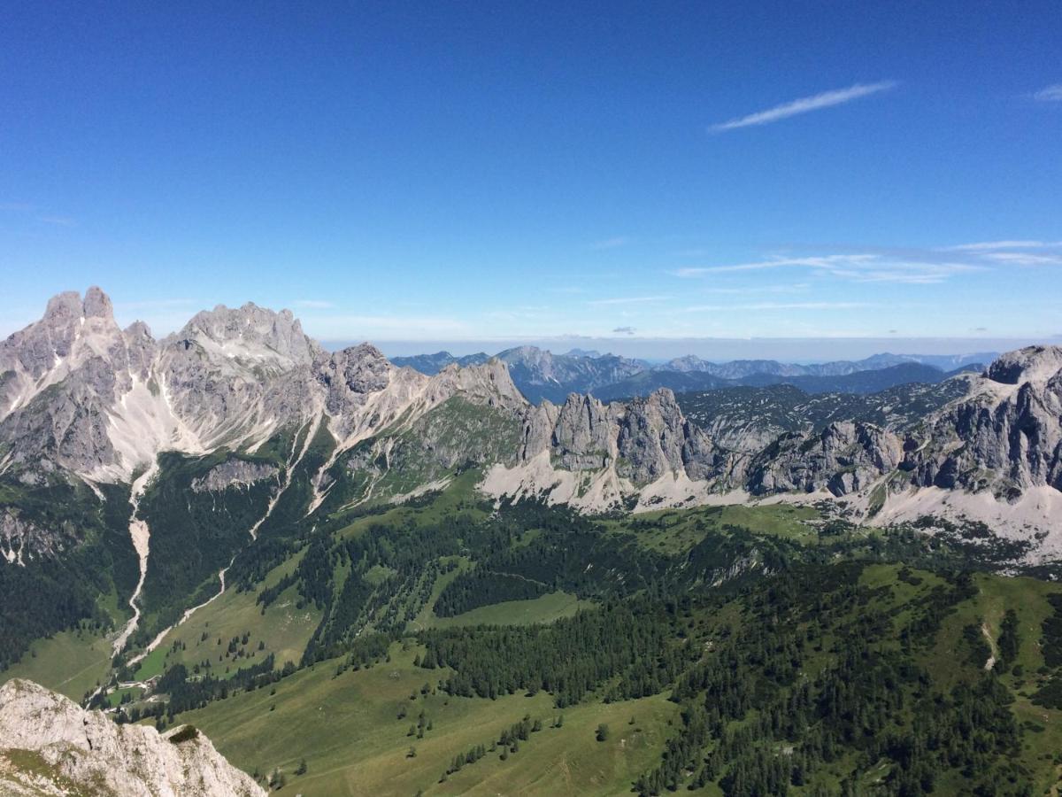 Ferienwohnung "Mein Alpenjuwel" 费尔兹姆斯 外观 照片