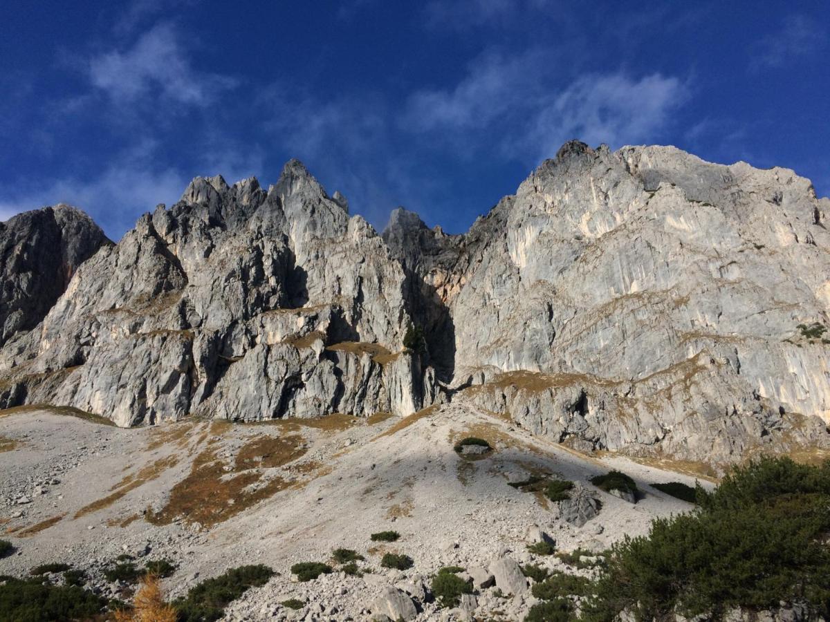 Ferienwohnung "Mein Alpenjuwel" 费尔兹姆斯 外观 照片